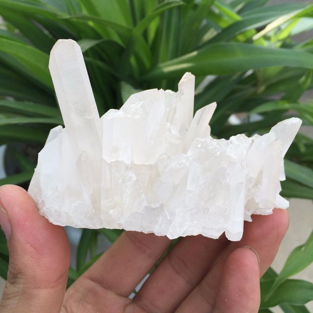 MINERAL CRISTAL CUARZO CALCITA CRISANTEMO + REGALO