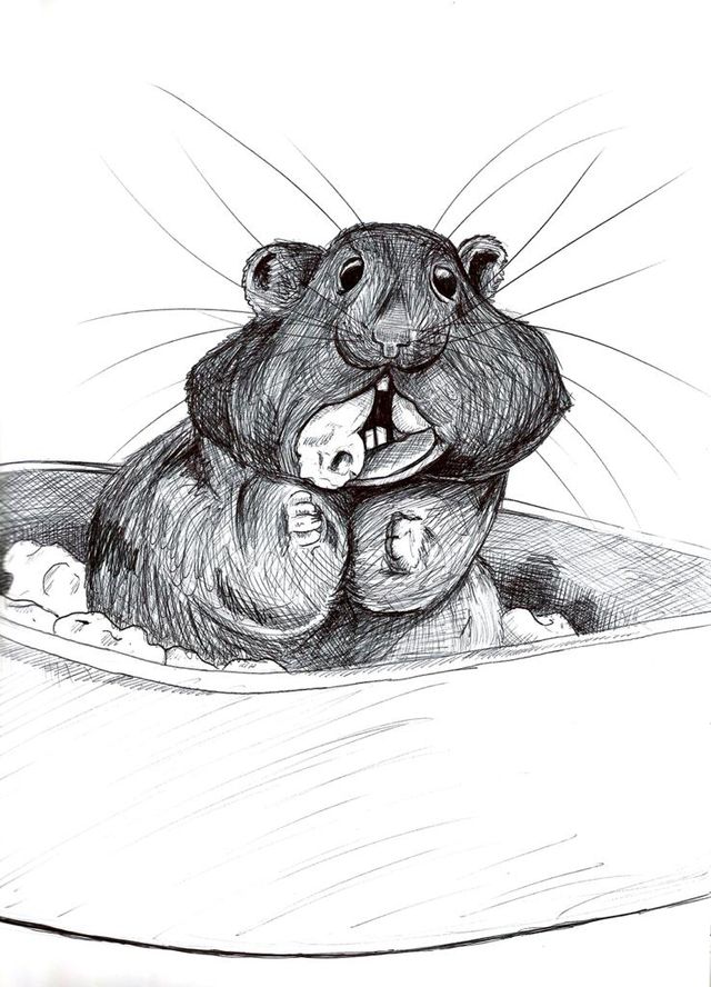 Láminas de animales