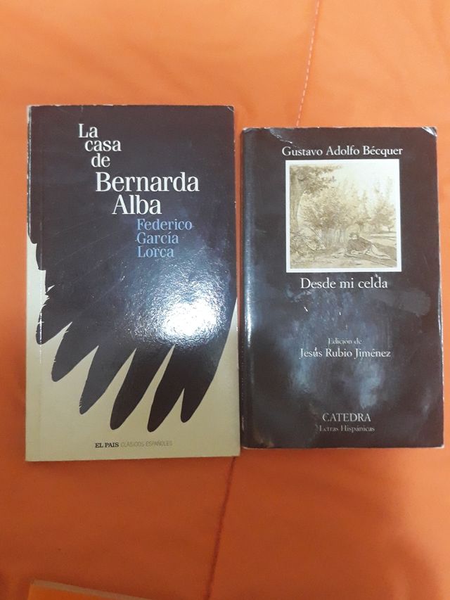 Lecturas para instituto