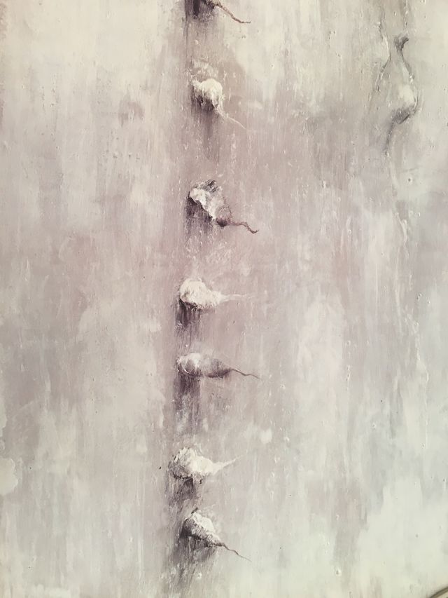 LAMINA MIKEL BARCELÓ