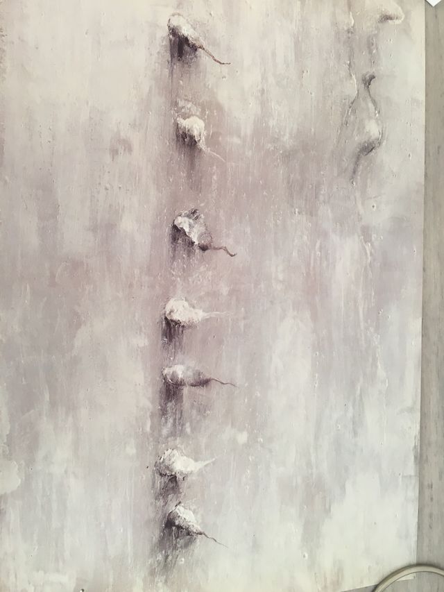 LAMINA MIKEL BARCELÓ