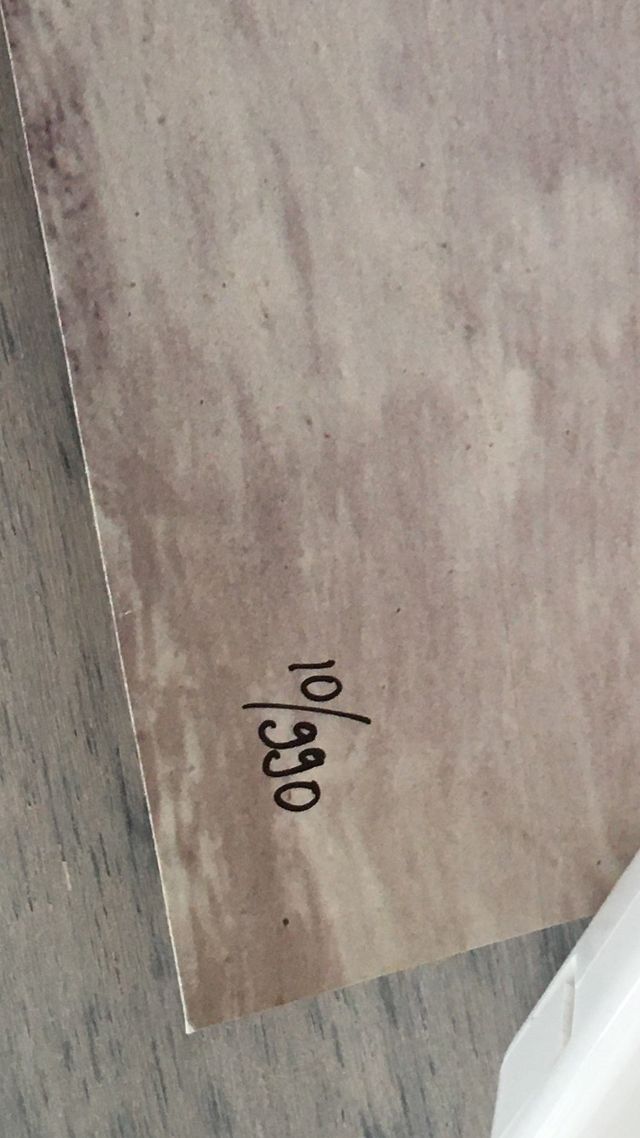 LAMINA MIKEL BARCELÓ