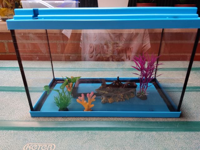 Acuario 16 litros