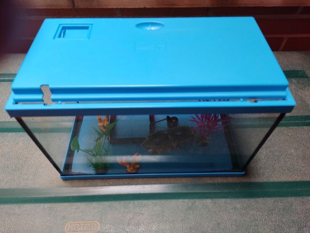 Acuario 16 litros