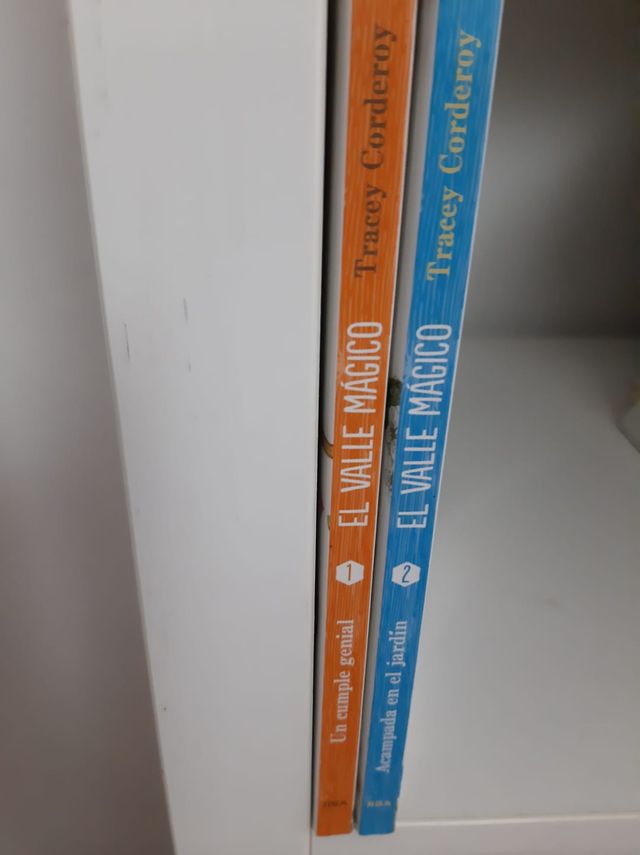 Lote 2 libros El valle mágico. Tracey Corderoy.