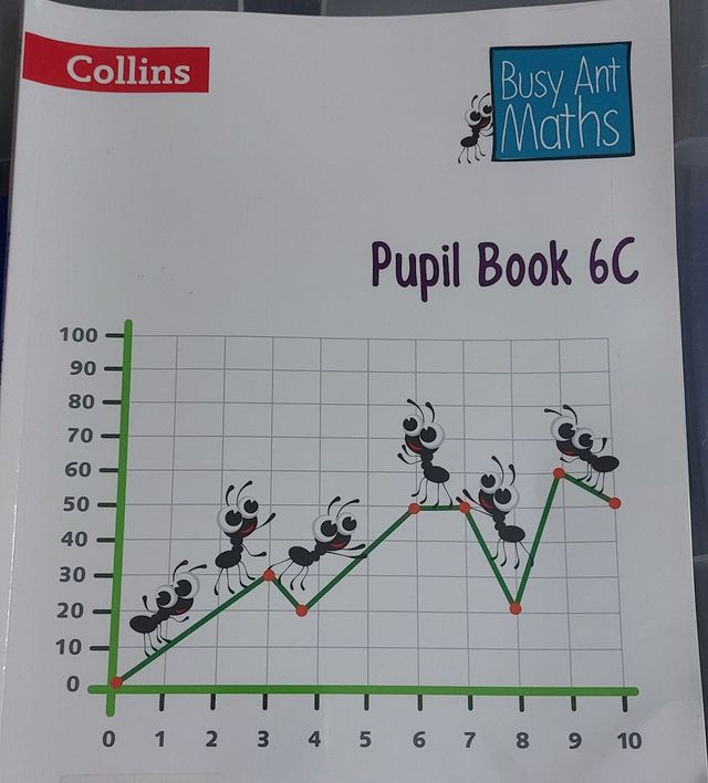 pupil book Collins sin rayajos