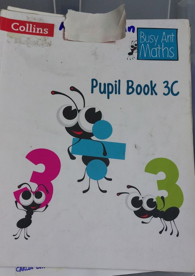 pupil book Collins sin rayajos