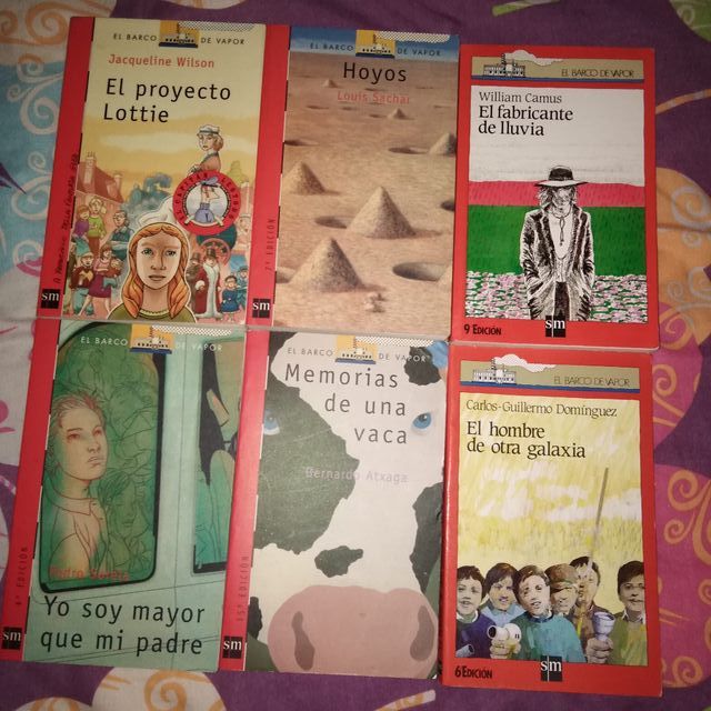 Lote de libros de 12 años en adelante