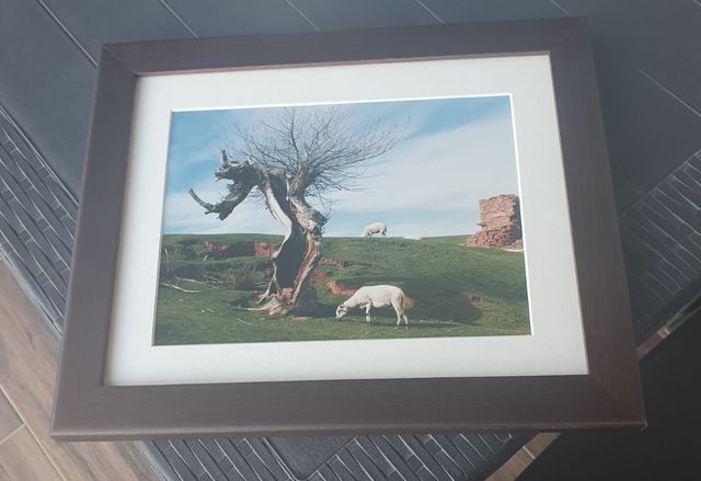 Moldura de wenge com foto da Plà de la Calma Montseny