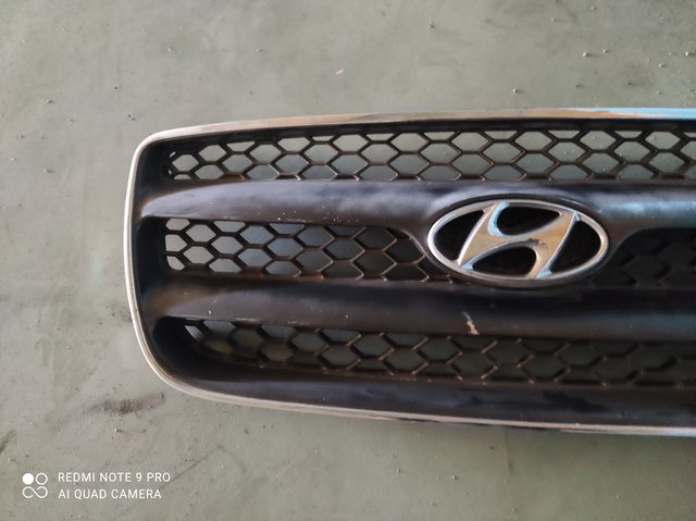 Rejilla Hyundai Santa Fe II