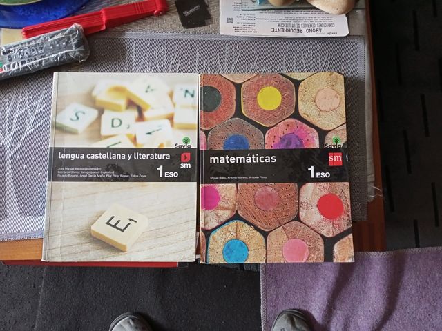 Lengua castellana y literatura 1ESO SM Savia