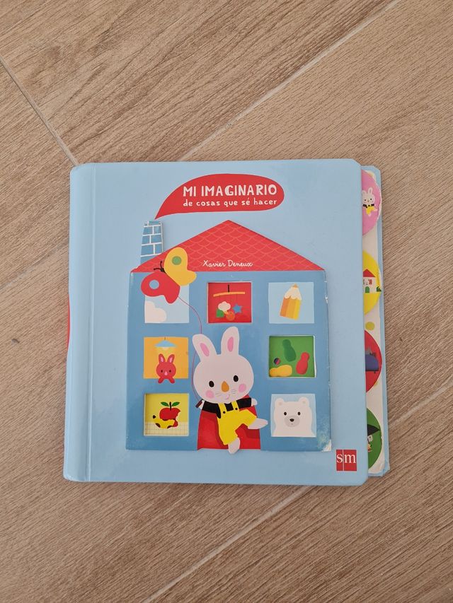 libro mi imaginario de cosas