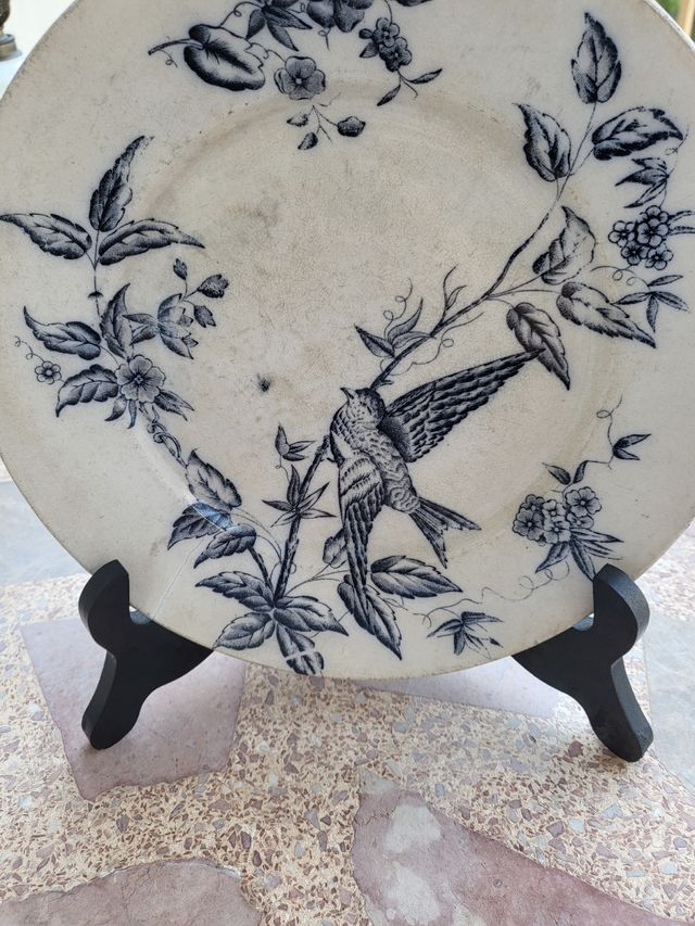 Conjuto de platos de porcelana y soportes