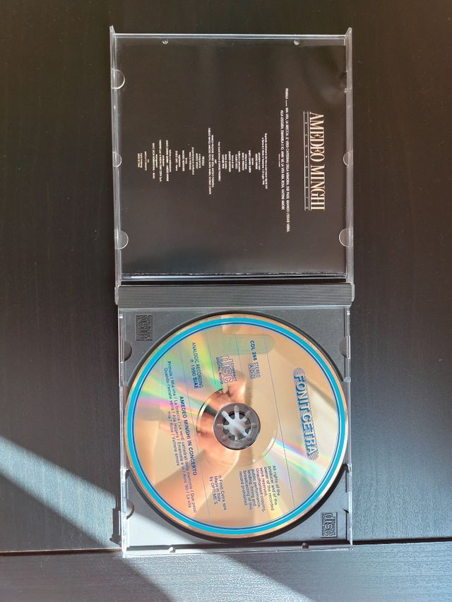 Amedeo minghi in concerto