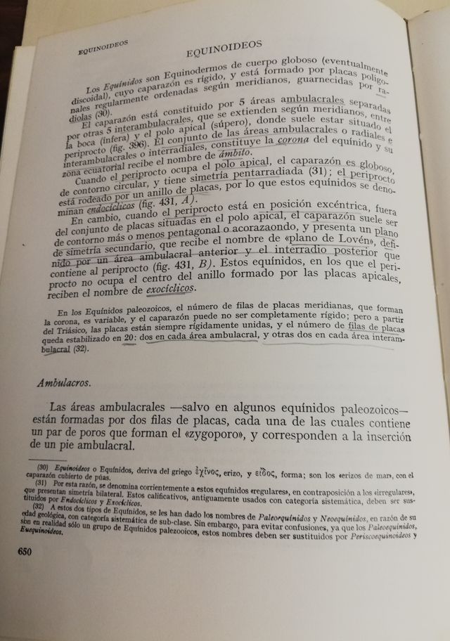 Paleontología, T. I: Parte general e Invertebrados