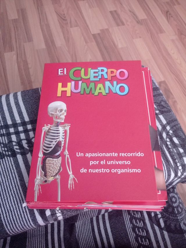 guida da 1 a 34 del corpo umano e del libro