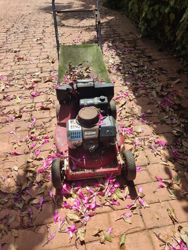 cortacésped antiguo casi de coleccionista 