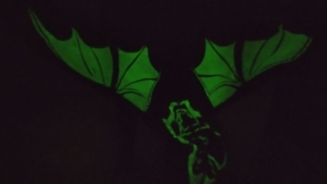 chaqueta  4 años luminescente