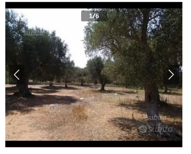 Vendo agro di Martano che dista 2 km. daCarpignano