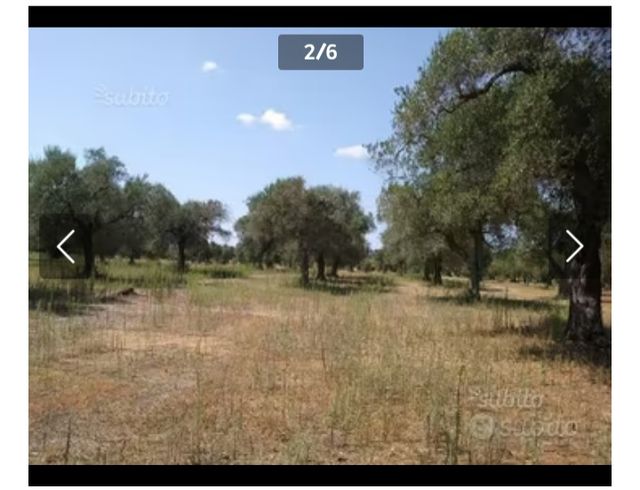 Vendo agro di Martano che dista 2 km. daCarpignano