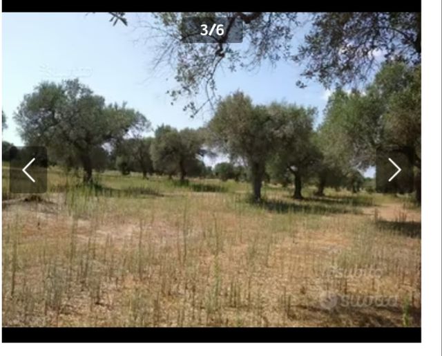 Vendo agro di Martano che dista 2 km. daCarpignano