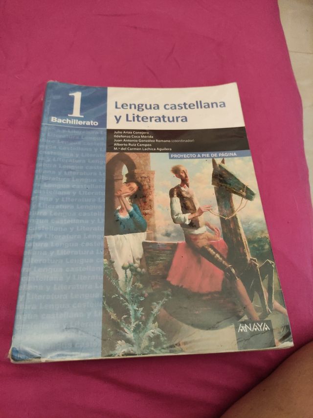 Liibro Lengua Castellana y Literatura