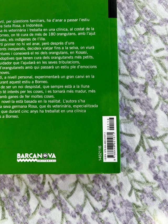 Un estiu a Borneo