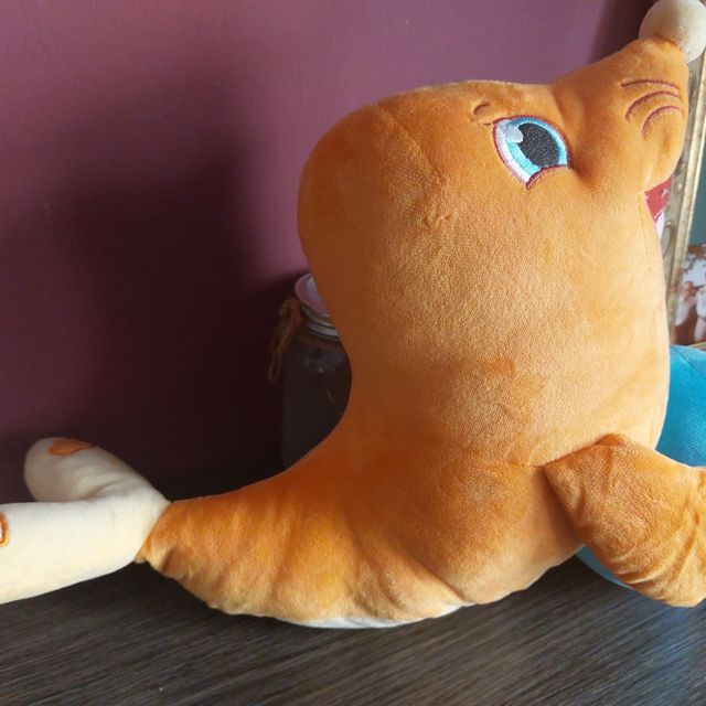 foly la foquita Emociones