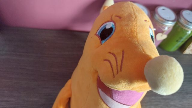 foly la foquita Emociones