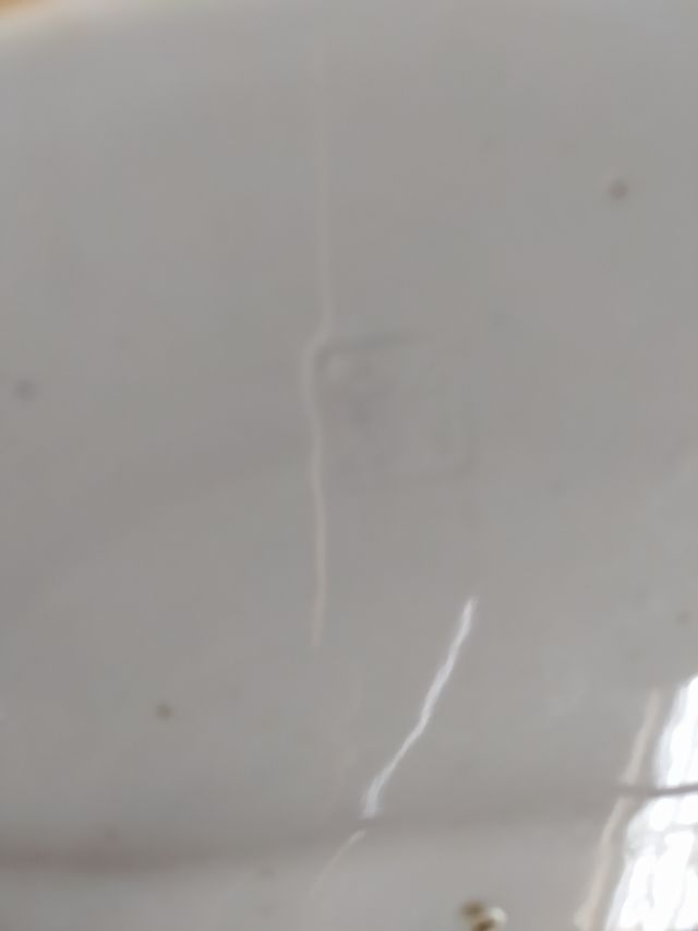 dos platos antiguos japones