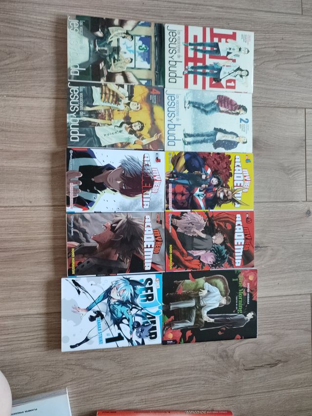 Venta de mangas 5€
