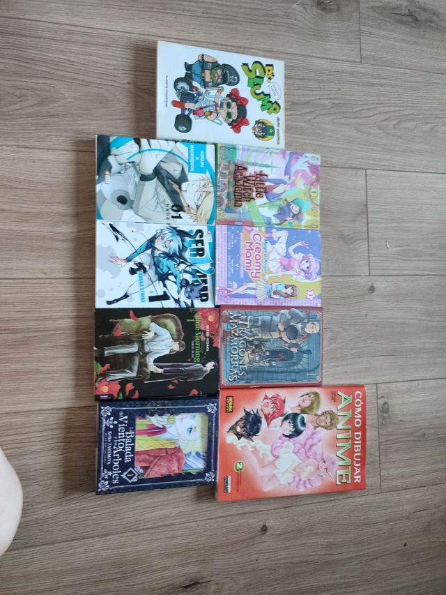 Venta de mangas 5€