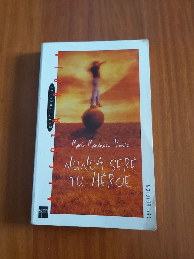 Nunca seré tu héroe