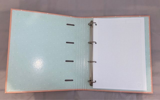 Archivador de Mister wonderful