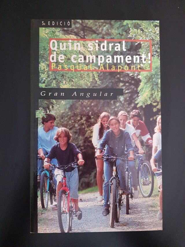 Quin sidral de campament !