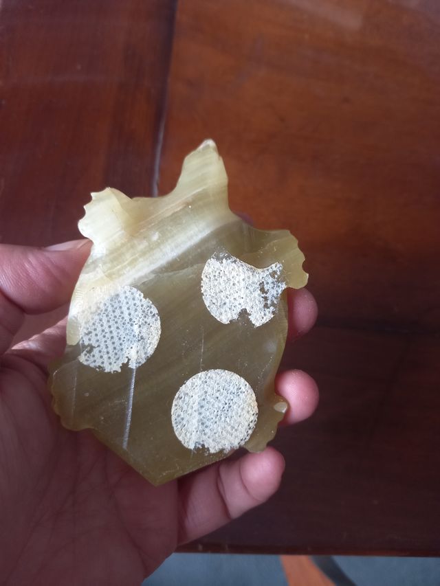 Tartaruga di onice da collezione