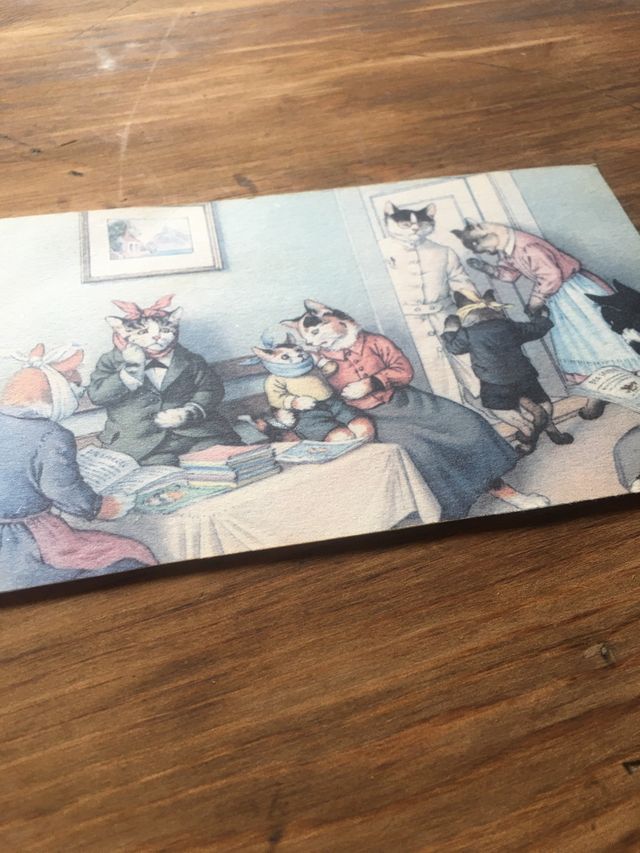 Scheda di consulenza per dentisti per gatti