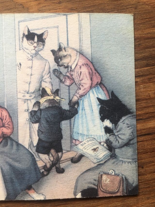 Scheda di consulenza per dentisti per gatti