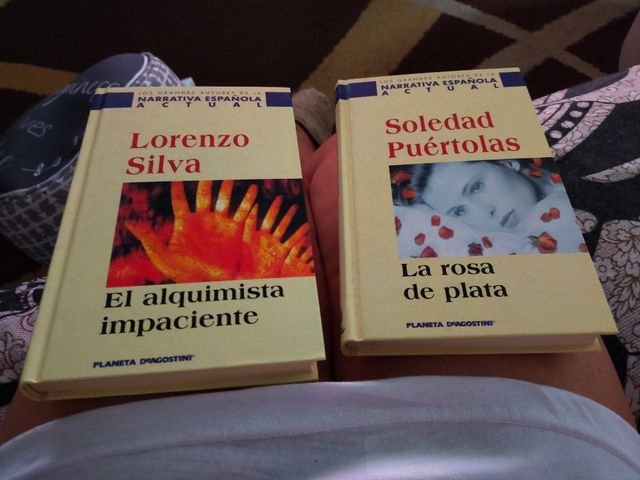El alquimista impaciente y la rosa de plata