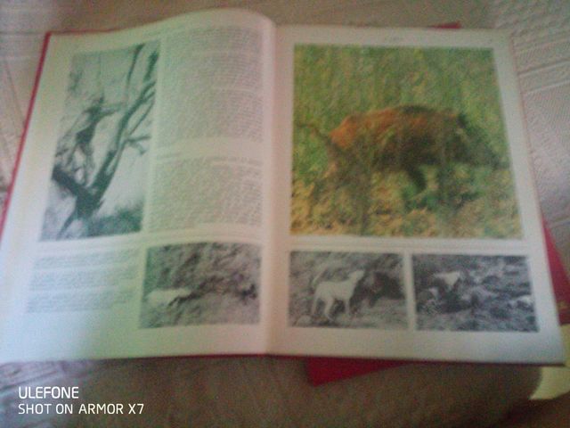 Enciclopedia de la caza