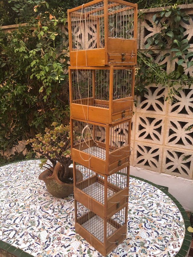 Lote 5 Jaulas madera de canarios competicion