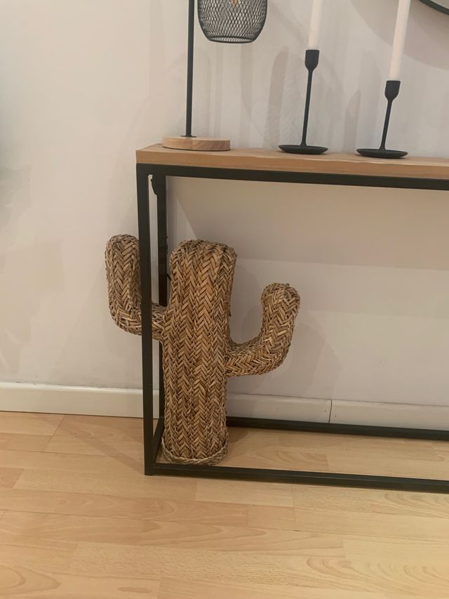 Cactus esparto