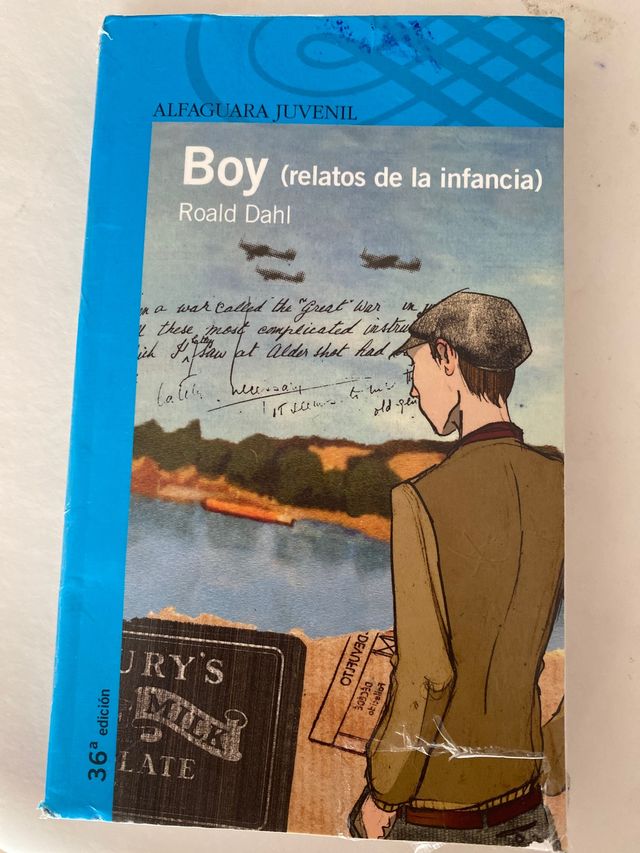 Boy (relatos de la infancia)