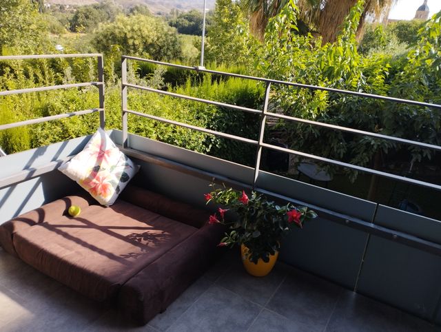 Cama viscoelástica ortopédica para perro