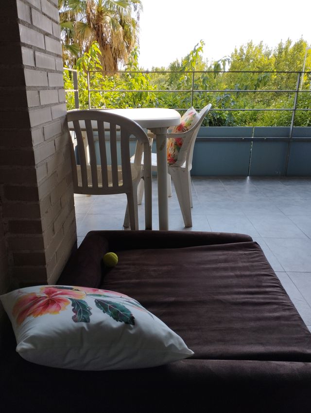 Cama viscoelástica ortopédica para perro