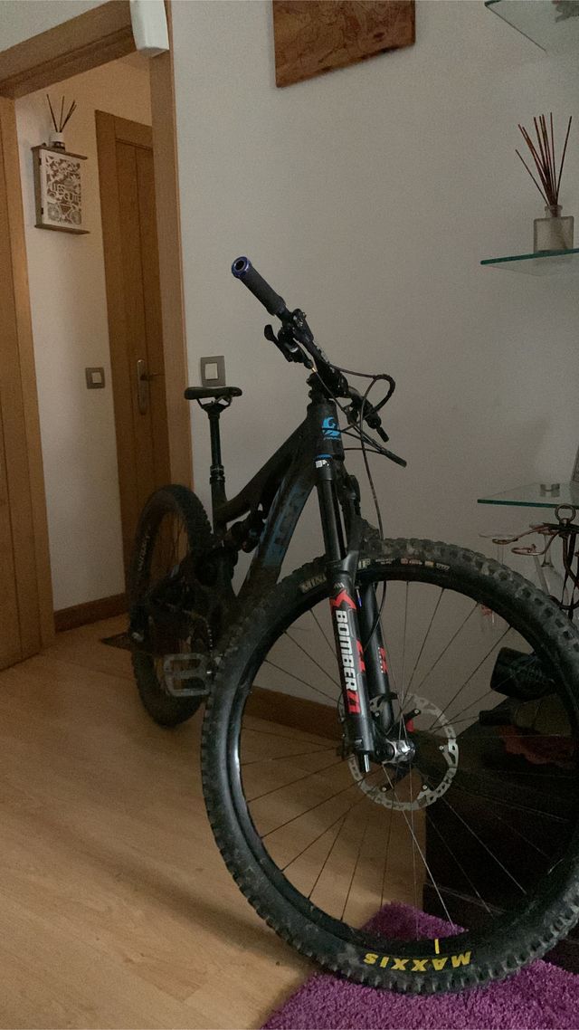 pivot firebird mullet