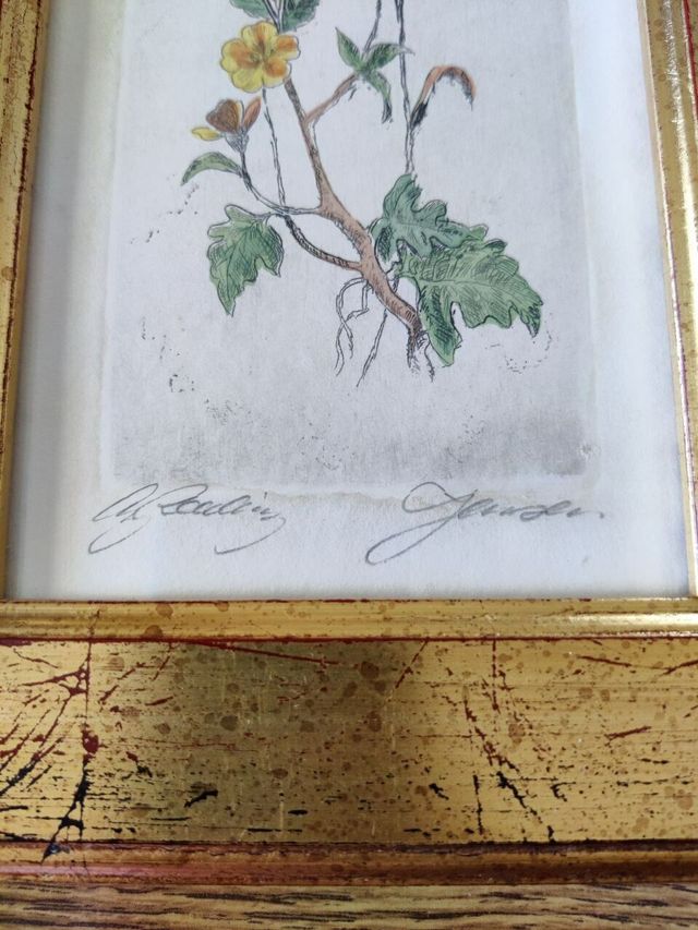 Due quadri con fiori acquerellati a mano