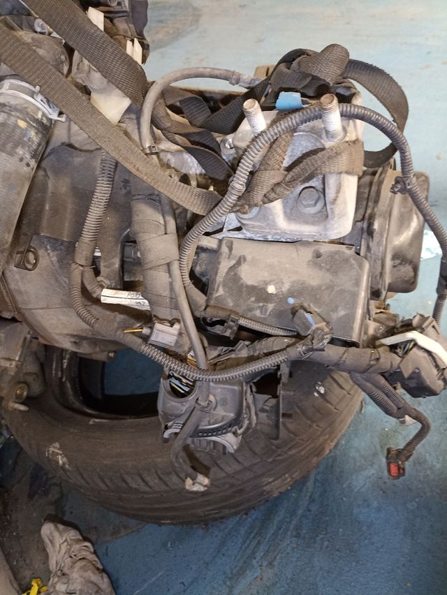 caja de cambios Ford Focus