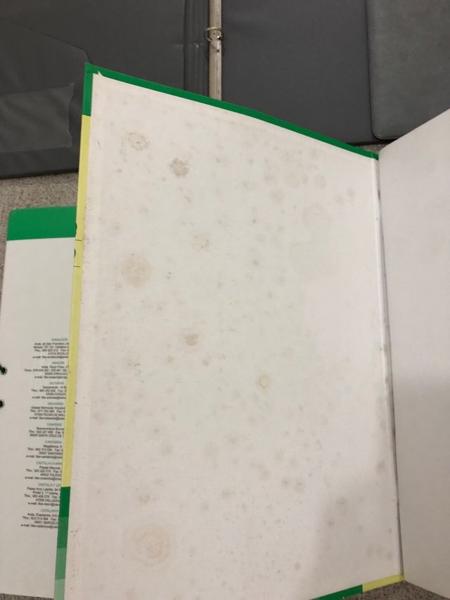 Lote de carpetas clasificadoras+ Archivadores