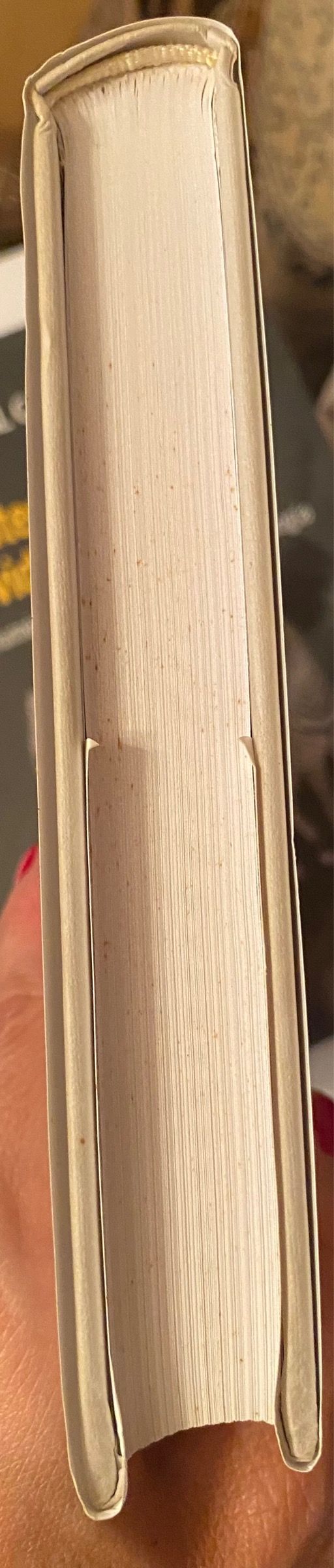 La cuadratura del cuadrado